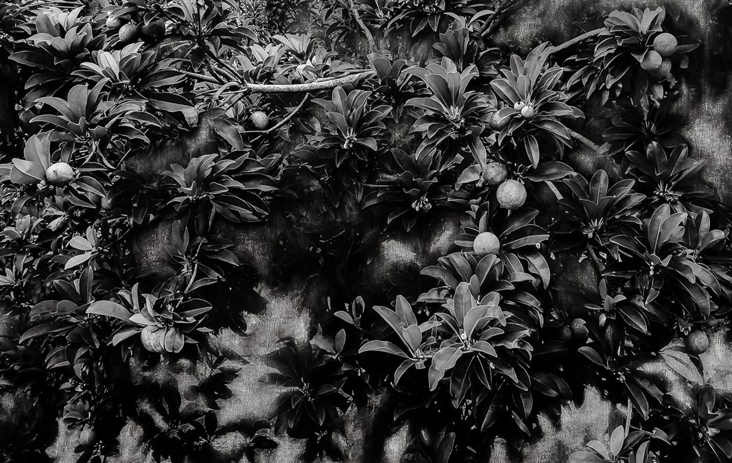 Karen Zalamea: Every Surface Is a Shrine
