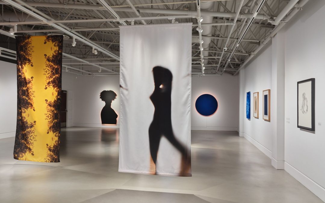 REBECCA BAIR: WHERE THE LIGHT MEETS MY SHOULDER