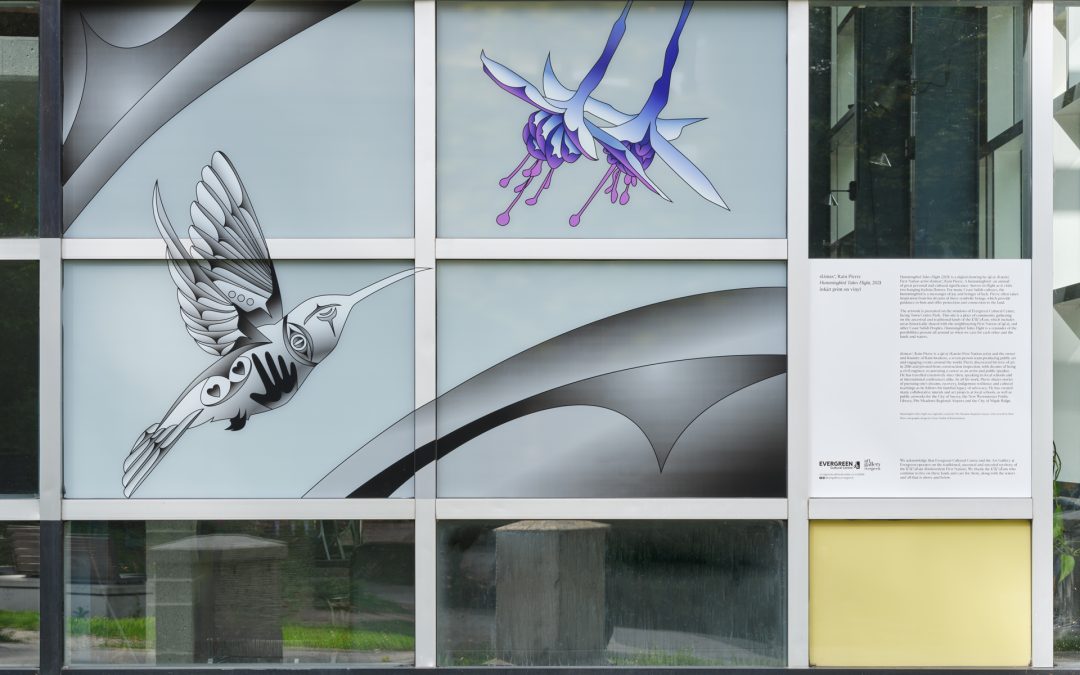 sɬə́məxʷ, RAIN PIERRE: HUMMINGBIRD TAKES FLIGHT